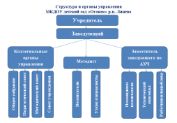 Структура и органы управления МКДОУ детский сад "Огонек" р.п. Линево